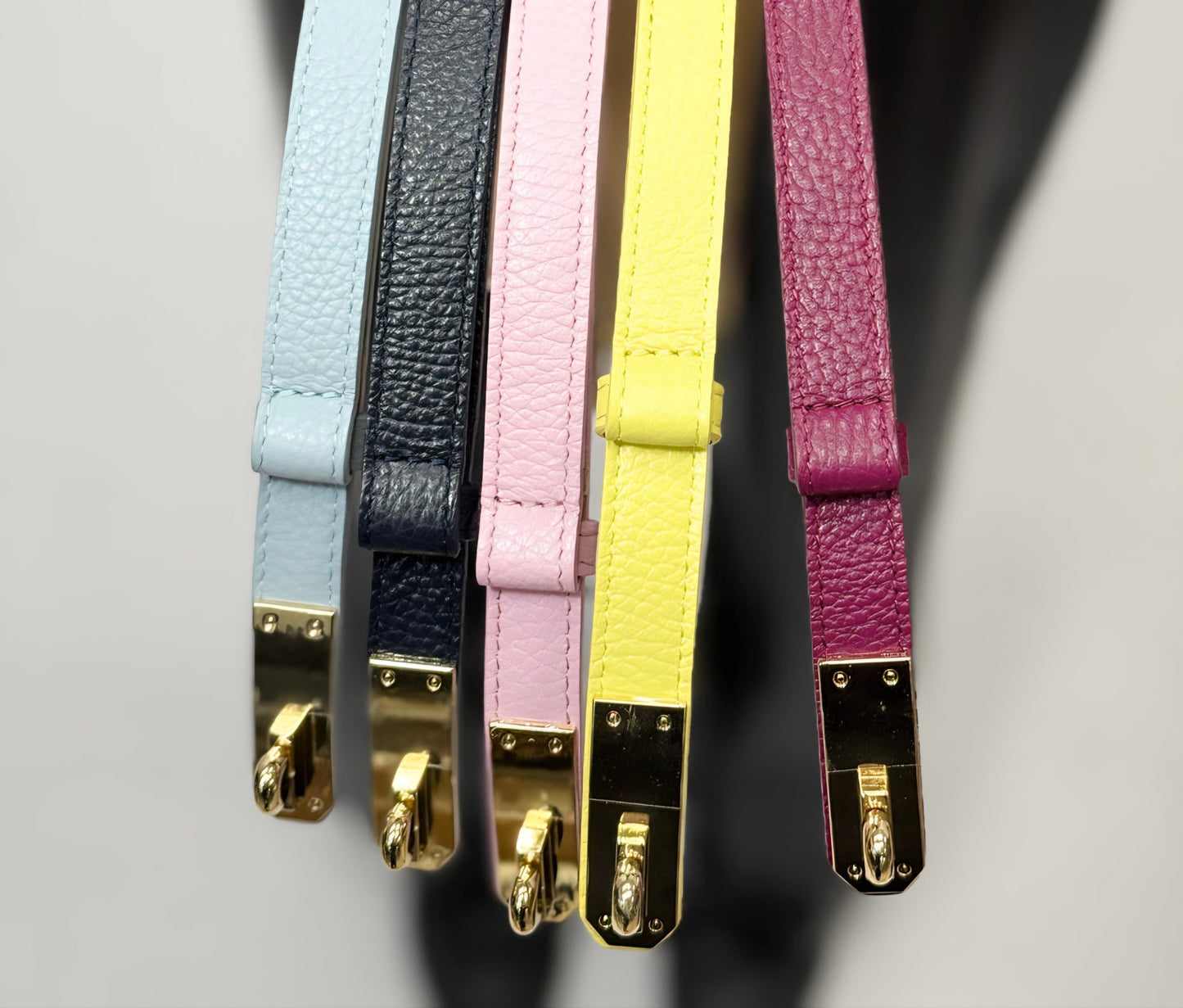 Cintura StarPaws